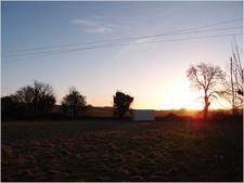 Thumbnail of photo from this article